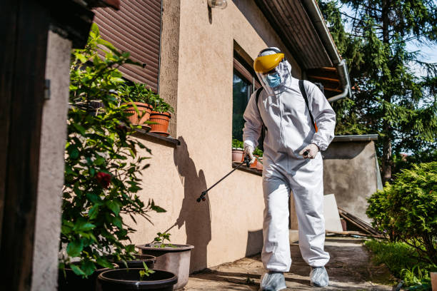 Best Cockroach Control Services  in Mcalmont, AR
