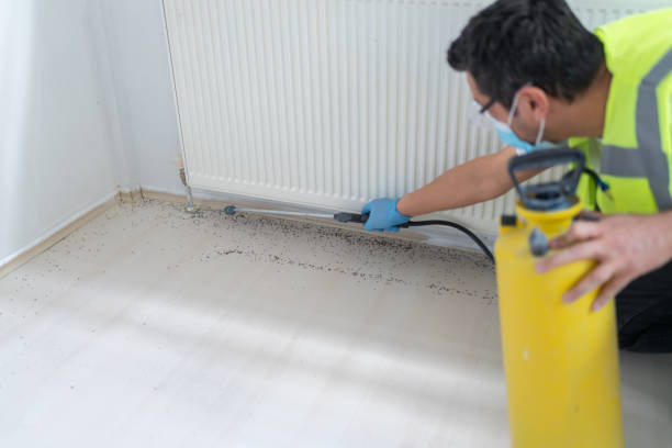 Best Best Pest Control Companies  in Mcalmont, AR