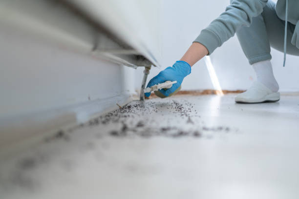 Best Bed Bug Extermination  in Mcalmont, AR